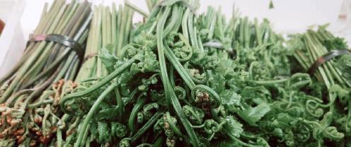 广东人吃惯的6种野菜，外地人却不爱，营养丰富，吃了让人惊艳！