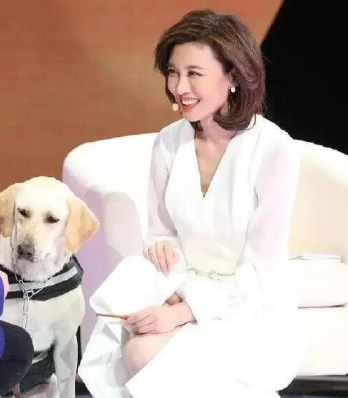 李红：从洗碗工到央视“最美”主持人，她的坚持成就传奇人生！
