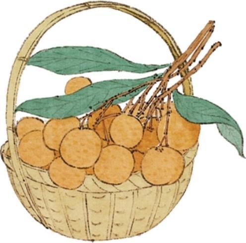 白露的“白”指什么