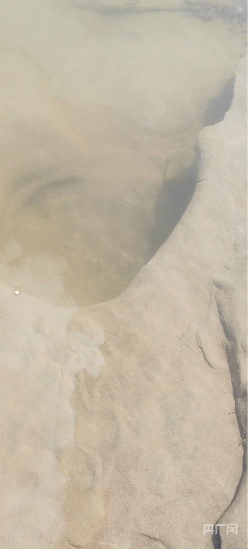 黄金大涨催生新富豪 淘金热背后的法律风险