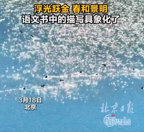 语文书中的描写在北京西海具象化了 