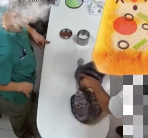 男子因猫咪打针时哈气大闹宠物店，老板上前劝阻，男子不听还称自己有案底