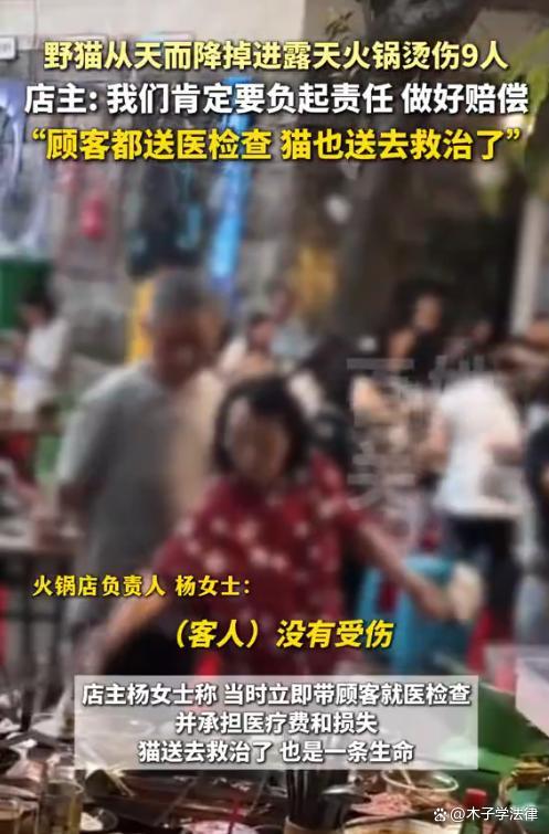 店主回應天降貓咪掉進露天火鍋燙傷9人