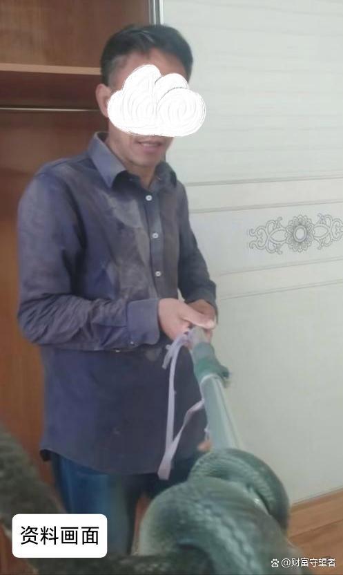 网红被蛇咬放弃救治后失联 生命与现实的沉重抉择
