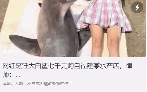 网红曾询问店家购买鲨鱼是否合法 鲨