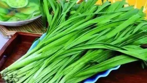 买韭菜，应该买“宽叶”还是“细叶”的？看完记得告诉家里人
