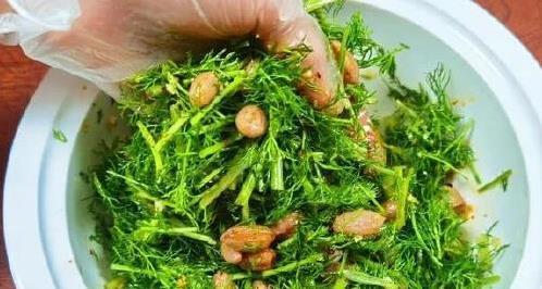 茴香拌花生米，5分钟出锅，香到邻居敲门，你敢试吗？