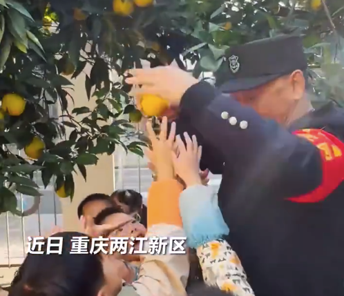 萌化了!保安大爷帮萌娃摘橘子忙不过来