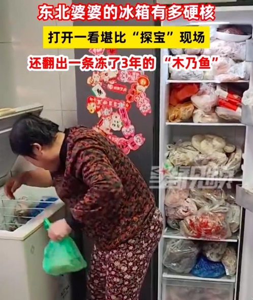 探宝东北婆婆冰箱翻出冻3年的鱼 儿媳调侃：都不敢往外拿东西，生怕塞不回去