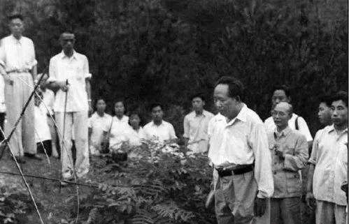 看完1959年毛泽东回乡为父母扫墓，我才顿悟中国为什么要有清明