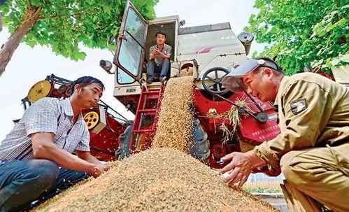 抗洪失联10日村支书家属发声 村民盼奇迹出现