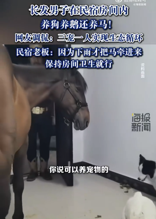长发男子在民宿养狗养鹅还养马 老板回应