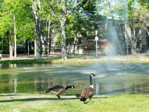 美国「吃住最糟糕」的20所大学！留学生：吐槽归吐槽，还得继续上.....