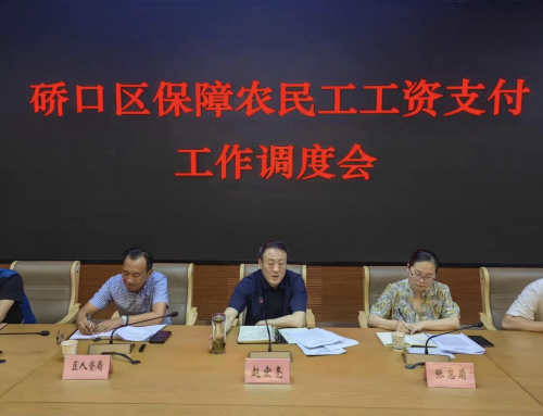 硚口区召开保障农民工工资支付工作调度会