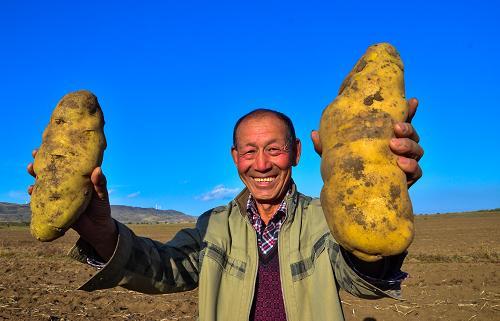 土豆种子论粒卖、喝得惯凉水的“泥腿子”……五段暖心“小故事”讲述乡村振兴“大文章”