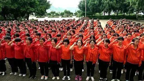 新华网评：这一年，见证奉献的力量
