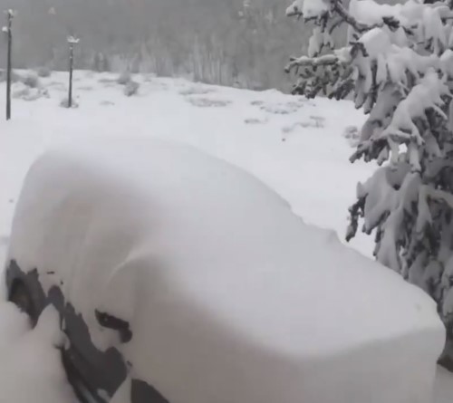 美国科州遭暴风雪 21万户居民断电