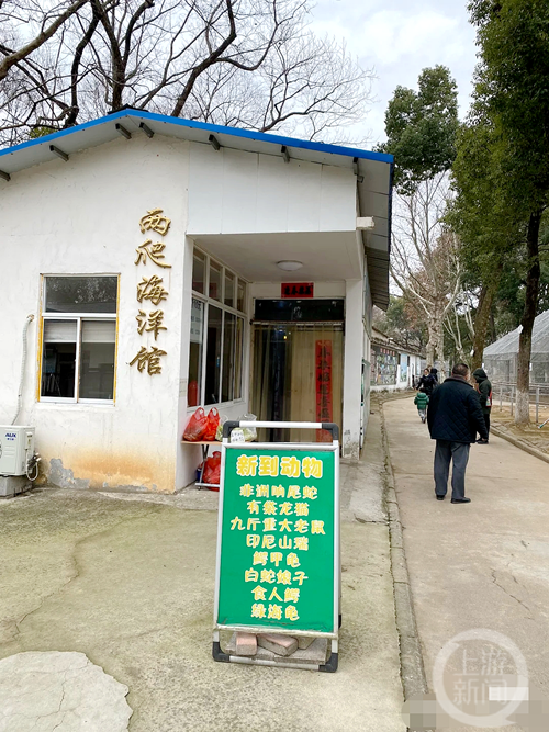 安徽一动物园被曝有九斤重大老鼠，园方：是变异老鼠去下崽了现在看不到