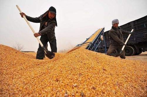 41张存折套走补贴36万，多个签名笔迹相同！
