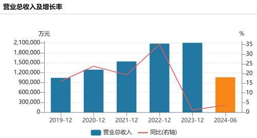 爱玛科技董事长被留置 公司运营正常，面临营收放缓挑战