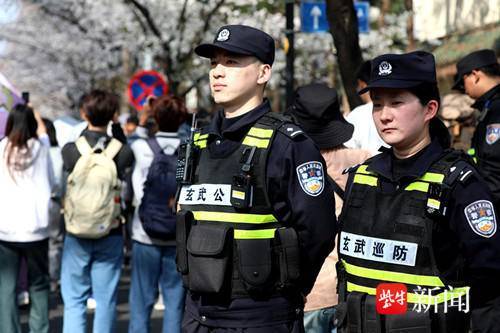 南京雞鳴寺櫻花大道開啟人人人模式 春意盎然賞花潮