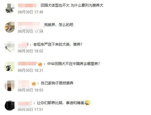 中華田園犬被禁養(yǎng)？西安多部門回應(yīng) 規(guī)定引發(fā)熱議