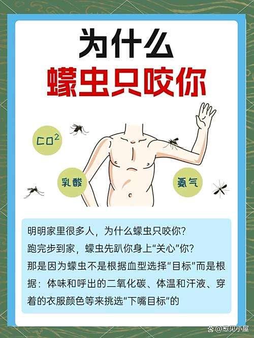 蚊子最爱叮谁？血型竟是伪科学！中国科学家给蚊子“打疫苗”破解登革热防治难题 气味识别系统揭秘