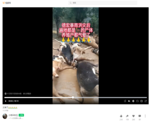 云南德宏暴雨洪災(zāi)后“遍地畜牧死亡”？官方回應(yīng)