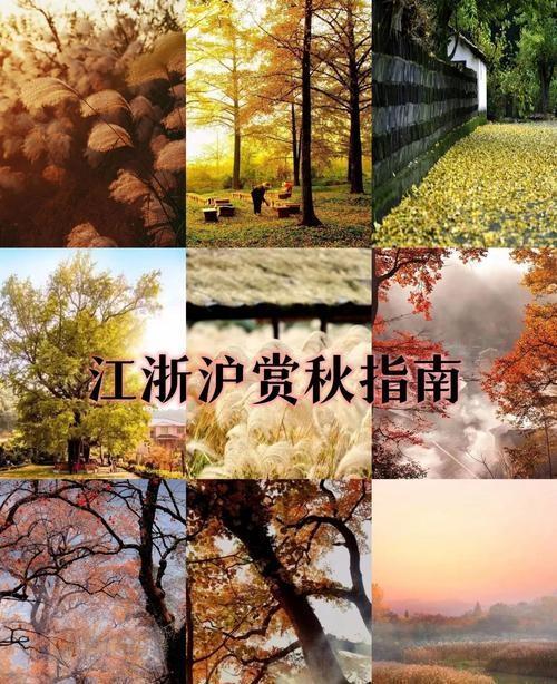 江浙沪超长夏天你的体验如何 秋老虎威力不减