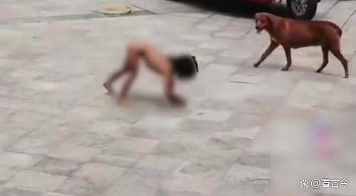 赤裸小孩事件水落石出 真相揭晓引发热议