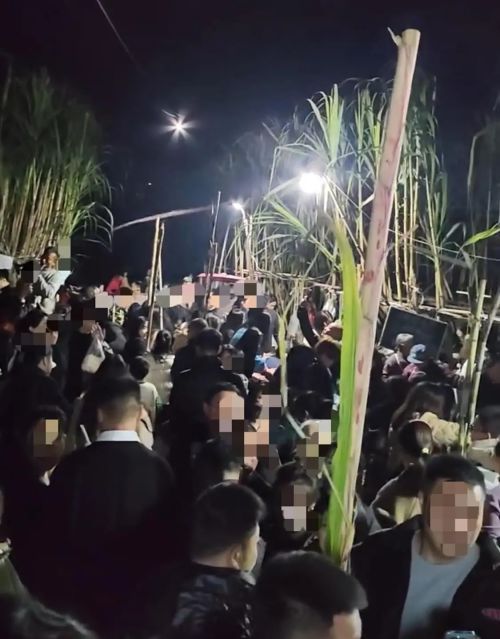 体验付费偷甘蔗第一视角有多刺激 乡村乐趣爆火出圈