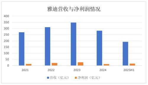 雅迪守得住3.8亿辆市场的王座吗 新国标下的战略迷惘