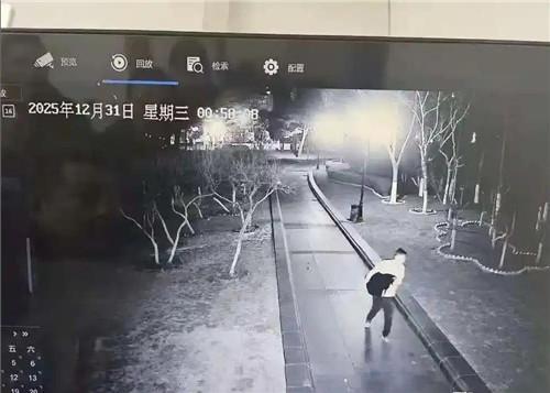 黑天鹅被偷走宰杀嫌犯被拘 公园明星天鹅遭不幸