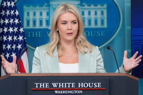 被美国点名的多国盟友无一响应 拒绝冒险护航