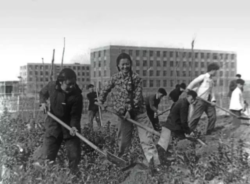 学习进行时｜根脉相连 薪火相传
