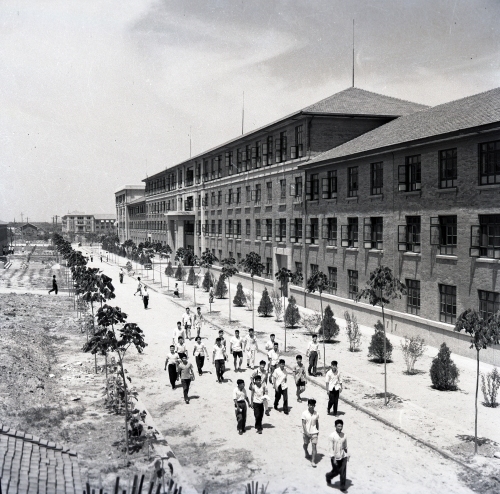 学习进行时｜根脉相连 薪火相传