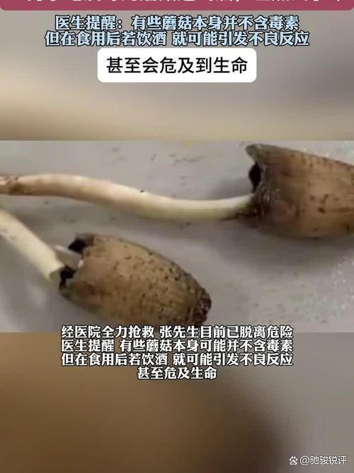 男子误食毒蘑菇重度中毒险致命 经验主义害人不浅