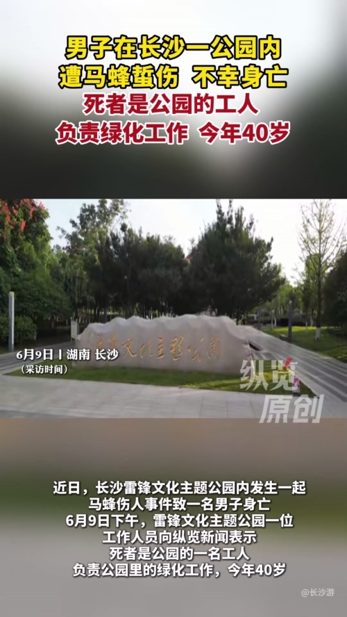 男子在公園遭馬蜂蜇傷身亡