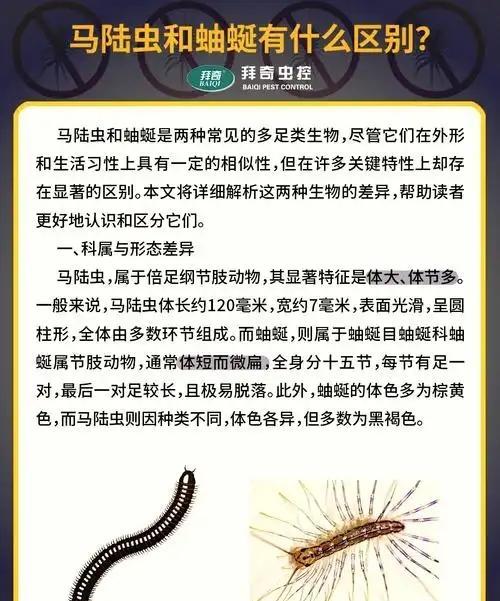 公园树下“千足虫”横行 专家科普 城市人对自然的陌生感