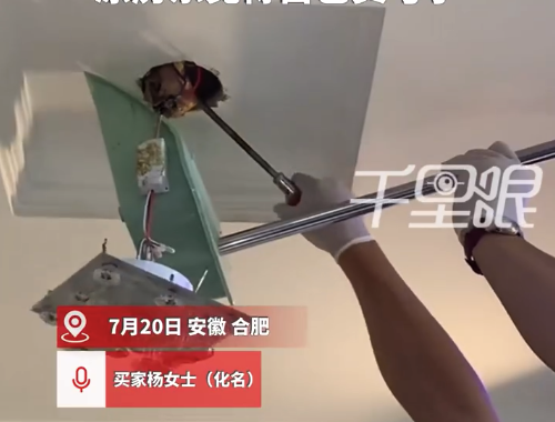 女子买二手房遭原房东藏死鸡报复:他觉得卖亏了