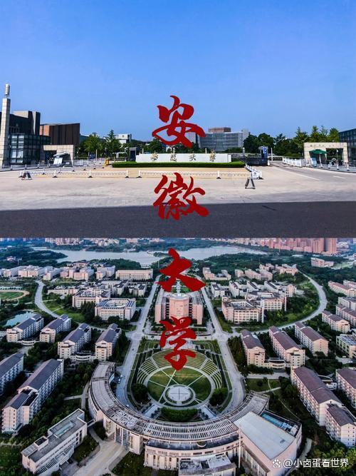 安徽大学确认付某系现任副校长 事件持续发酵引发关注