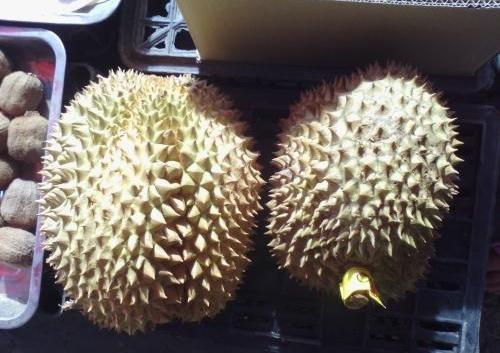 买的榴莲打开里面是橡皮泥