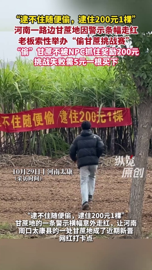 “逮不住随便偷 逮住200元1棵”