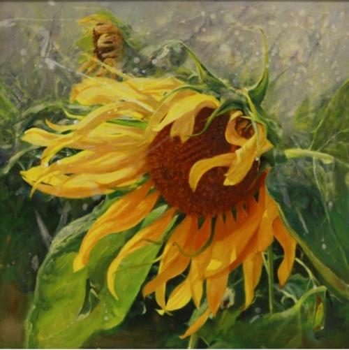 色彩绚丽烂漫多姿著名画家赵军的油画及水彩作品欣赏