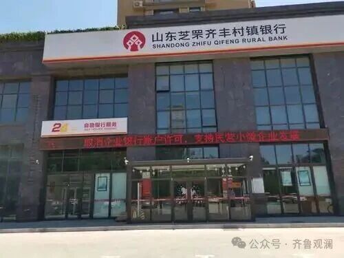 隋旭东掌舵芝罘齐丰村镇银行，该行2024年不良贷款超1800万元，并因多种违规行为被处罚