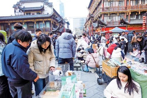 济南大观园周末夜市开张
