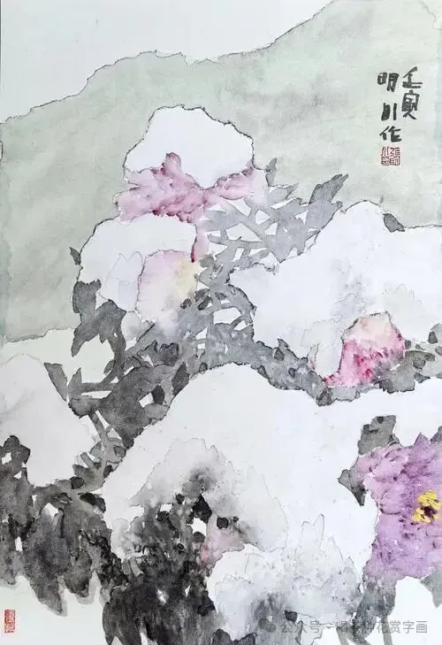 张明川·没骨牡丹丨淡彩牡丹别样红,红到无心处,方见国色深