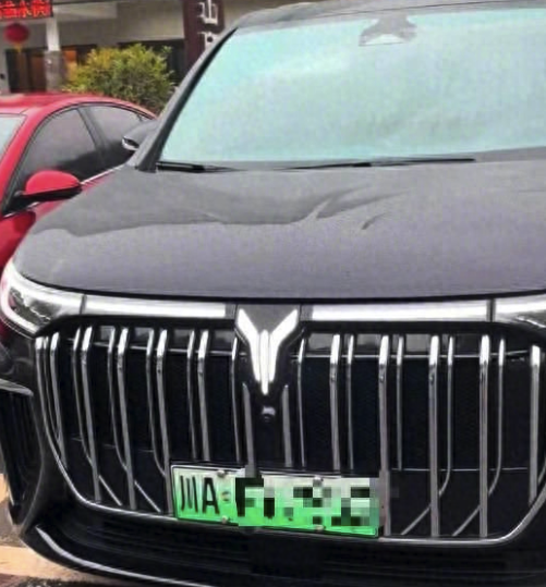 男子停车费超20000000不敢取车 景区回应