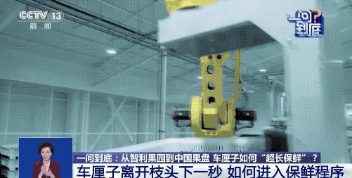 运输耗时近1个月 车厘子如何保鲜 冷链物流与气调包装锁鲜