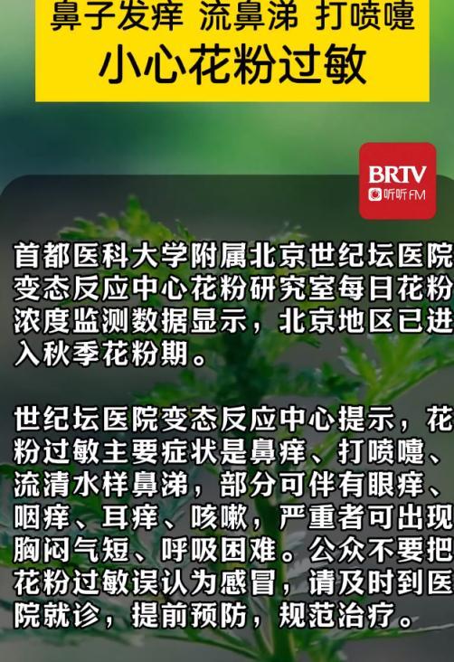 京津冀已进入秋季花粉期 过敏患者需警惕